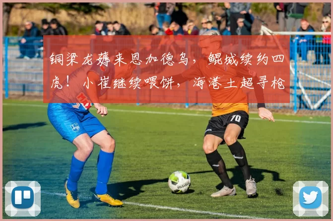 铜梁龙薅来恩加德乌，鲲城续约四虎！小崔继续喂饼，海港土超寻枪